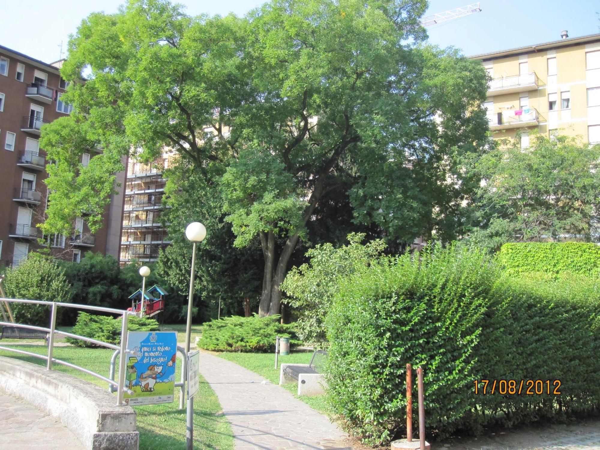 Piazzi House Aparthotel Sondrio Ngoại thất bức ảnh